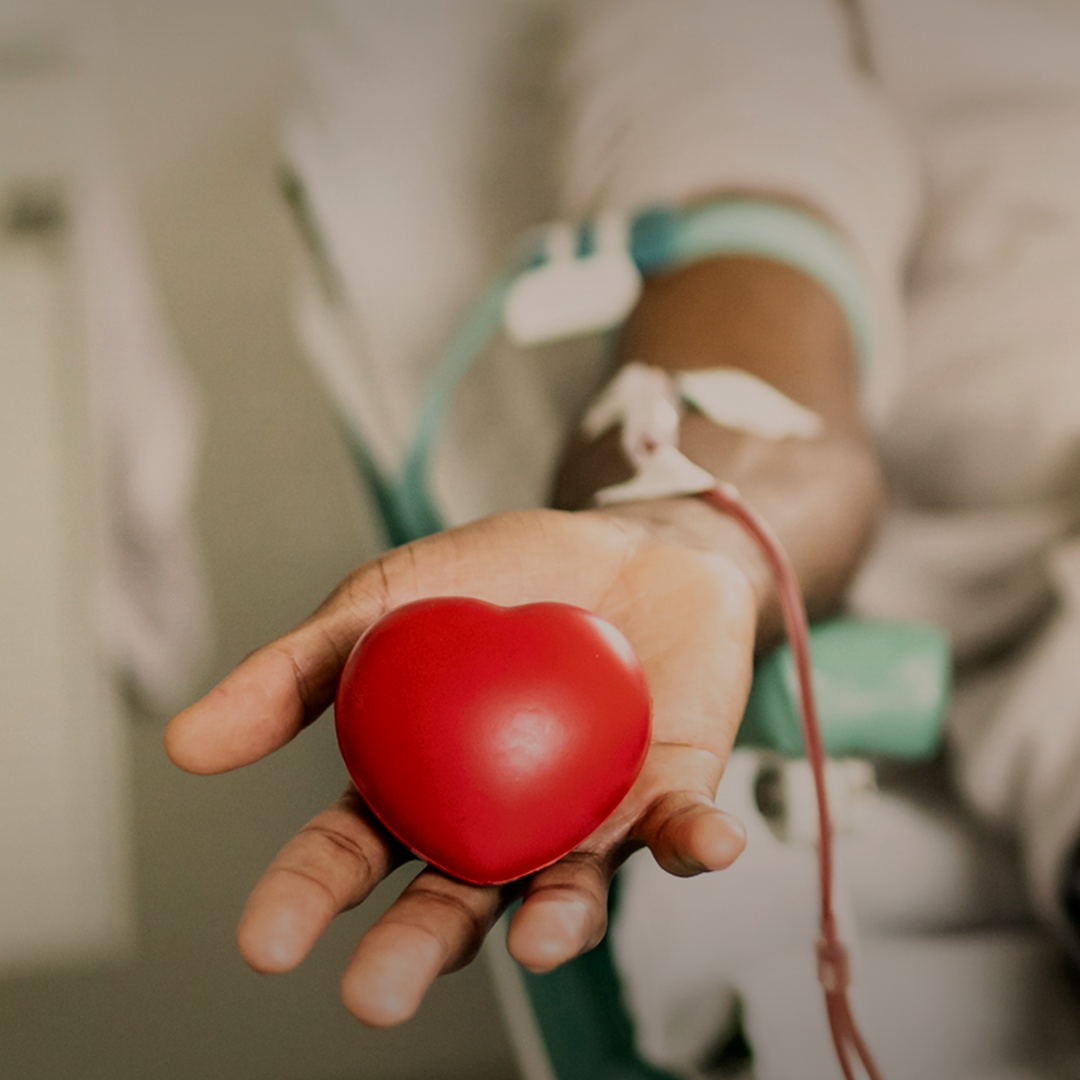 Dia Mundial Do Doador De Sangue Por Que Como E Onde Doar KASA