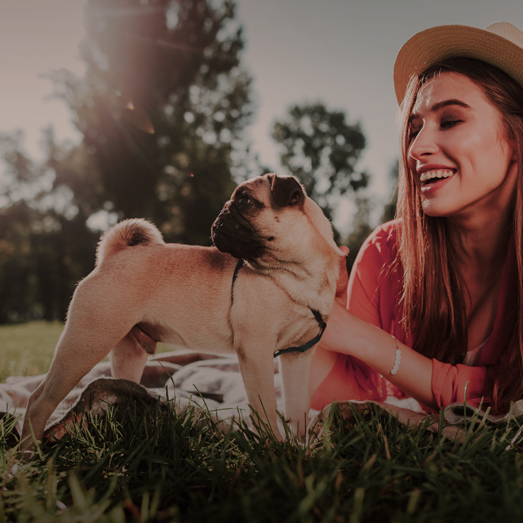 Pets, cuidar dos seus bichinhos nunca foi tão divertido