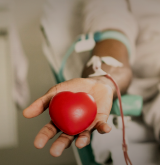 Dia Mundial do Doador de Sangue: por que, como e onde doar?